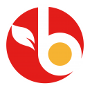 logo bravo logo bravo